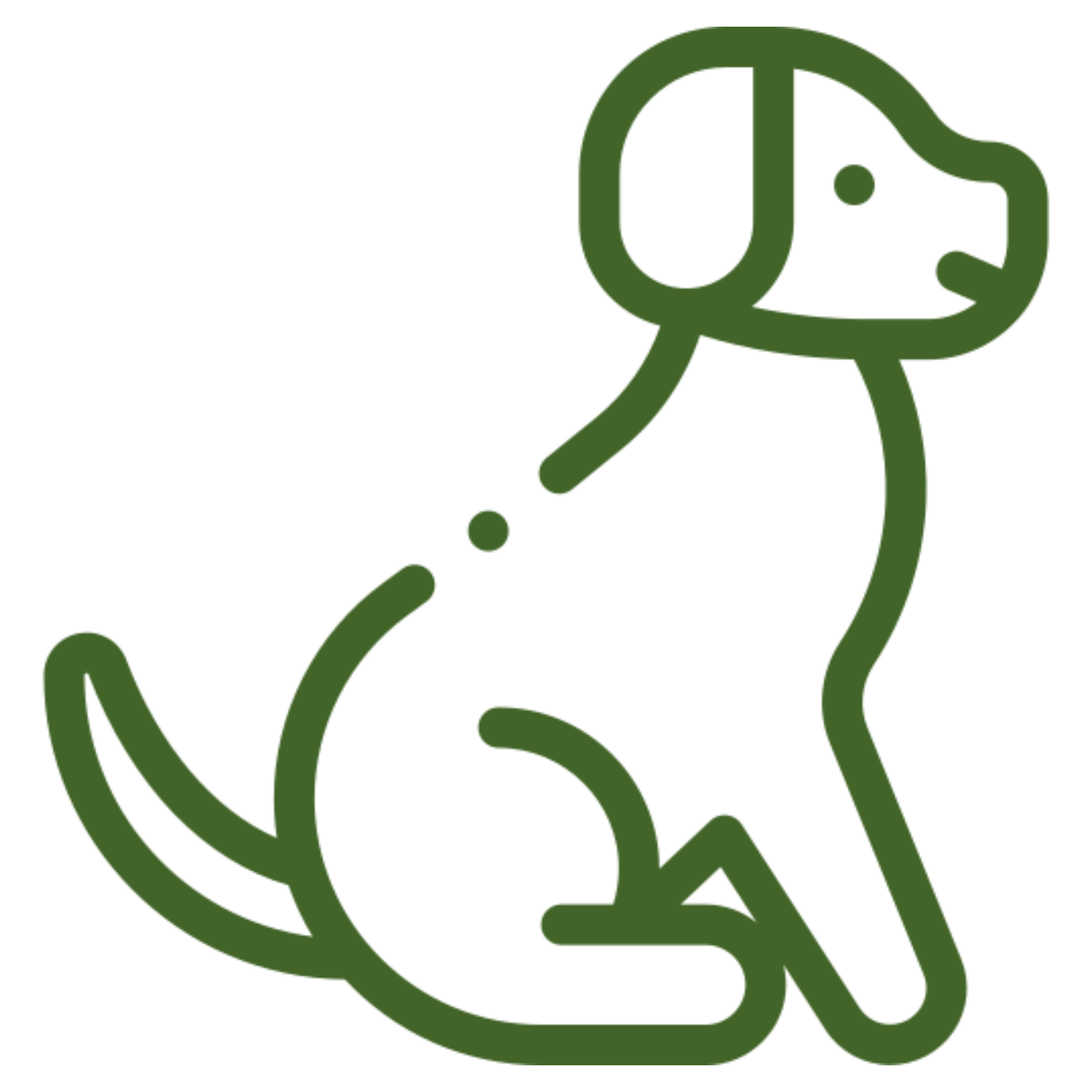 Planned Breedings