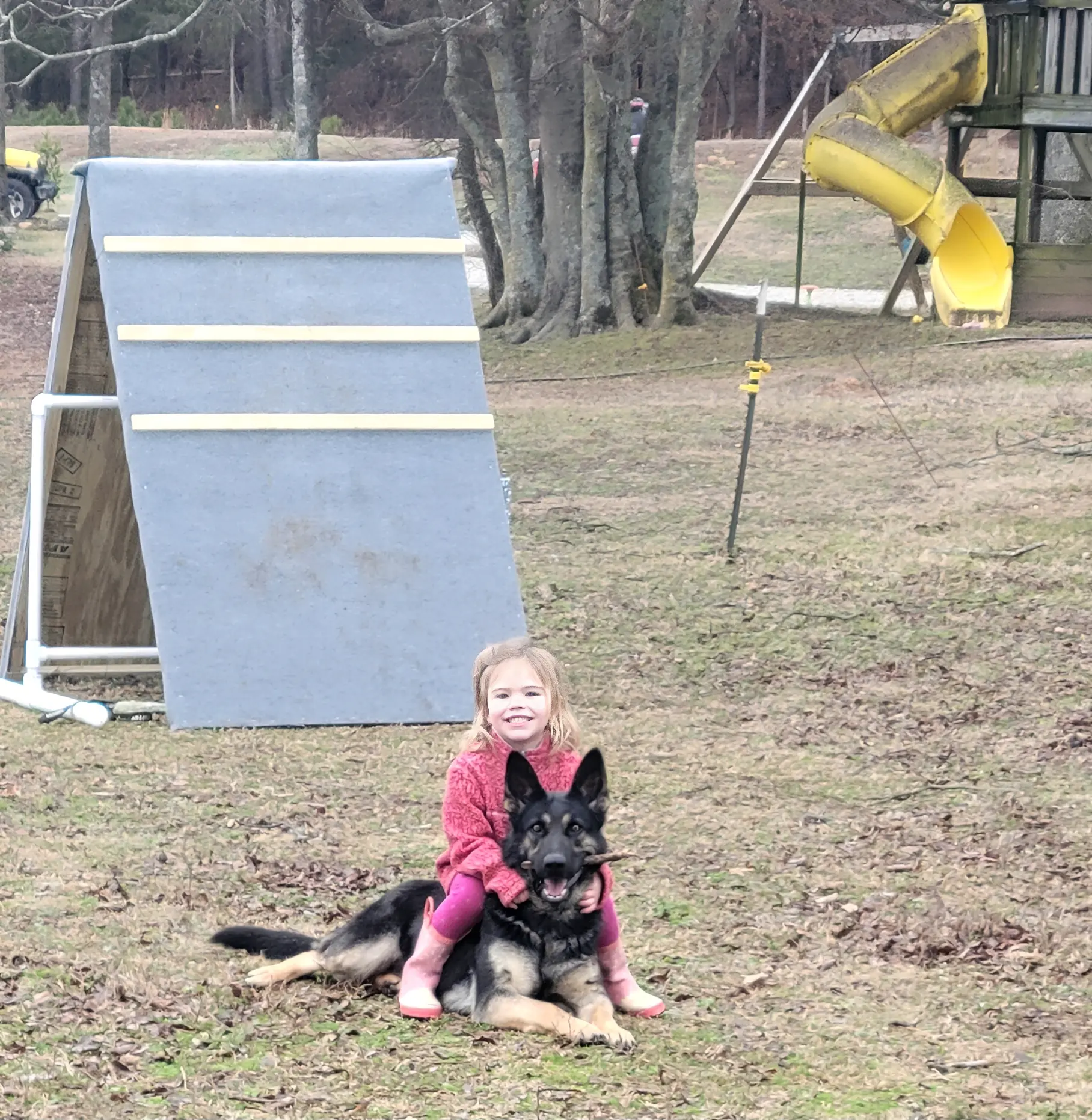 Child sitting on a German Shepherd dog.