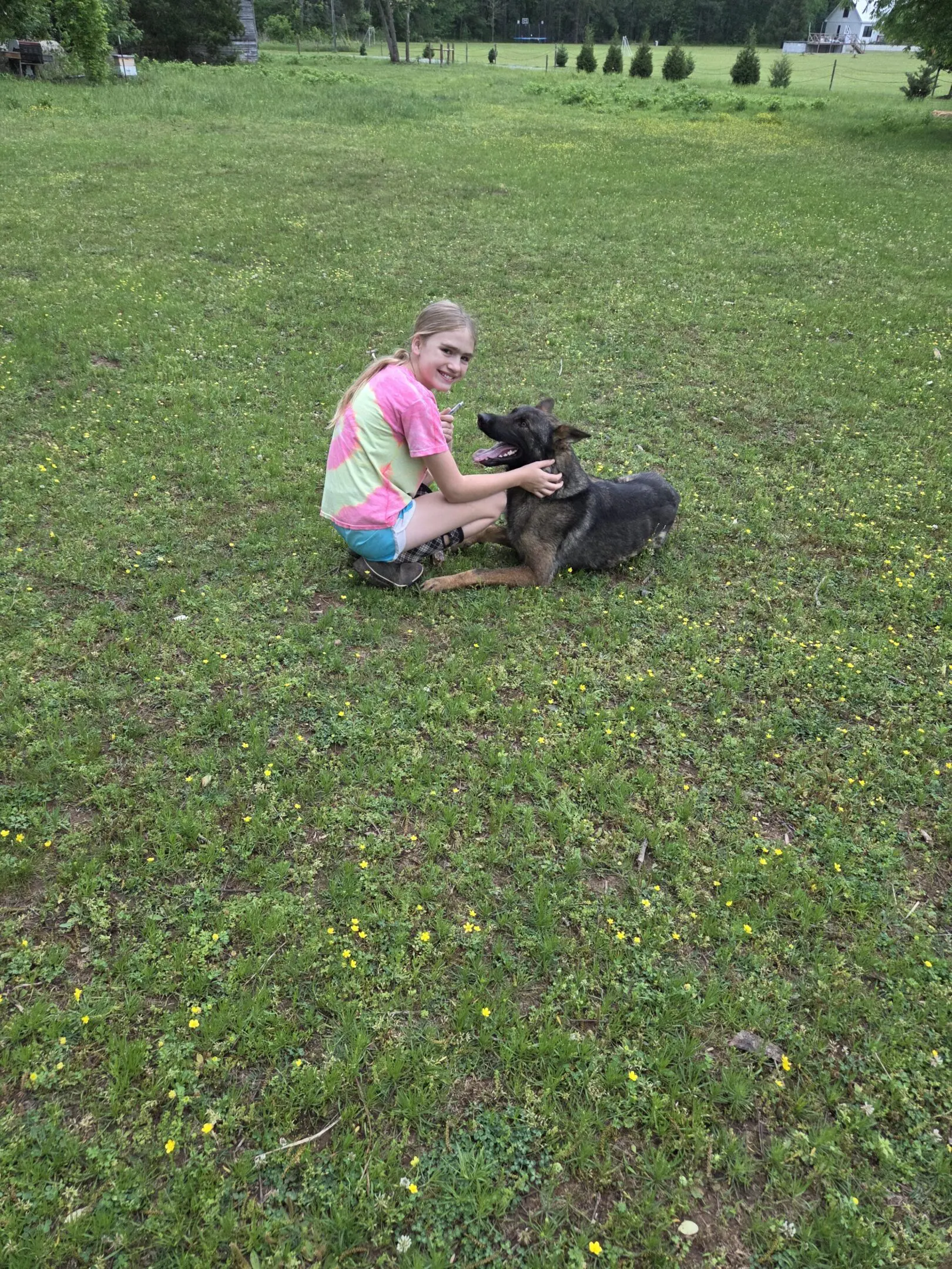 Smiling girl petting German shepherd dog