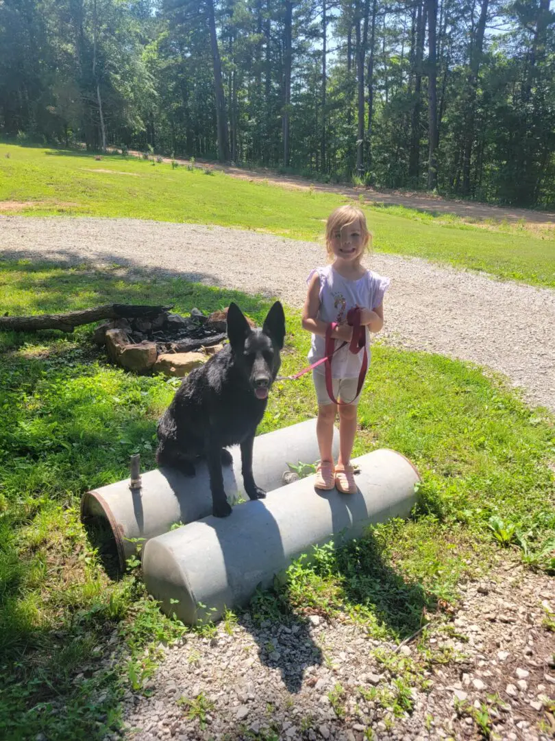 Girl standing beside black dog on barrels.