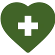 Are Health Tested Through Embark