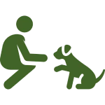 Receive Hands-On Care and Early Socialization